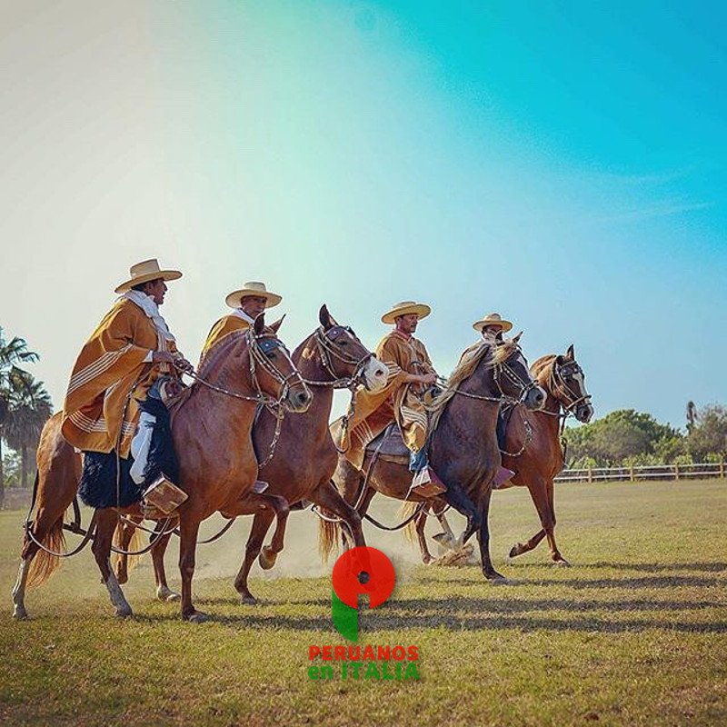 Peruanos en Italia tweet media