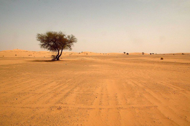 #AppeldeNiamey ! L'@OIFfrancophonie et le #Niger, ensemble dans la lutte contre la #Desertification et la promotion de l’#EconomieVerte dans les pays du #Sahel , où développement, environnement et sécurité sont plus que jamais liés 
> bit.ly/2mOxYJK