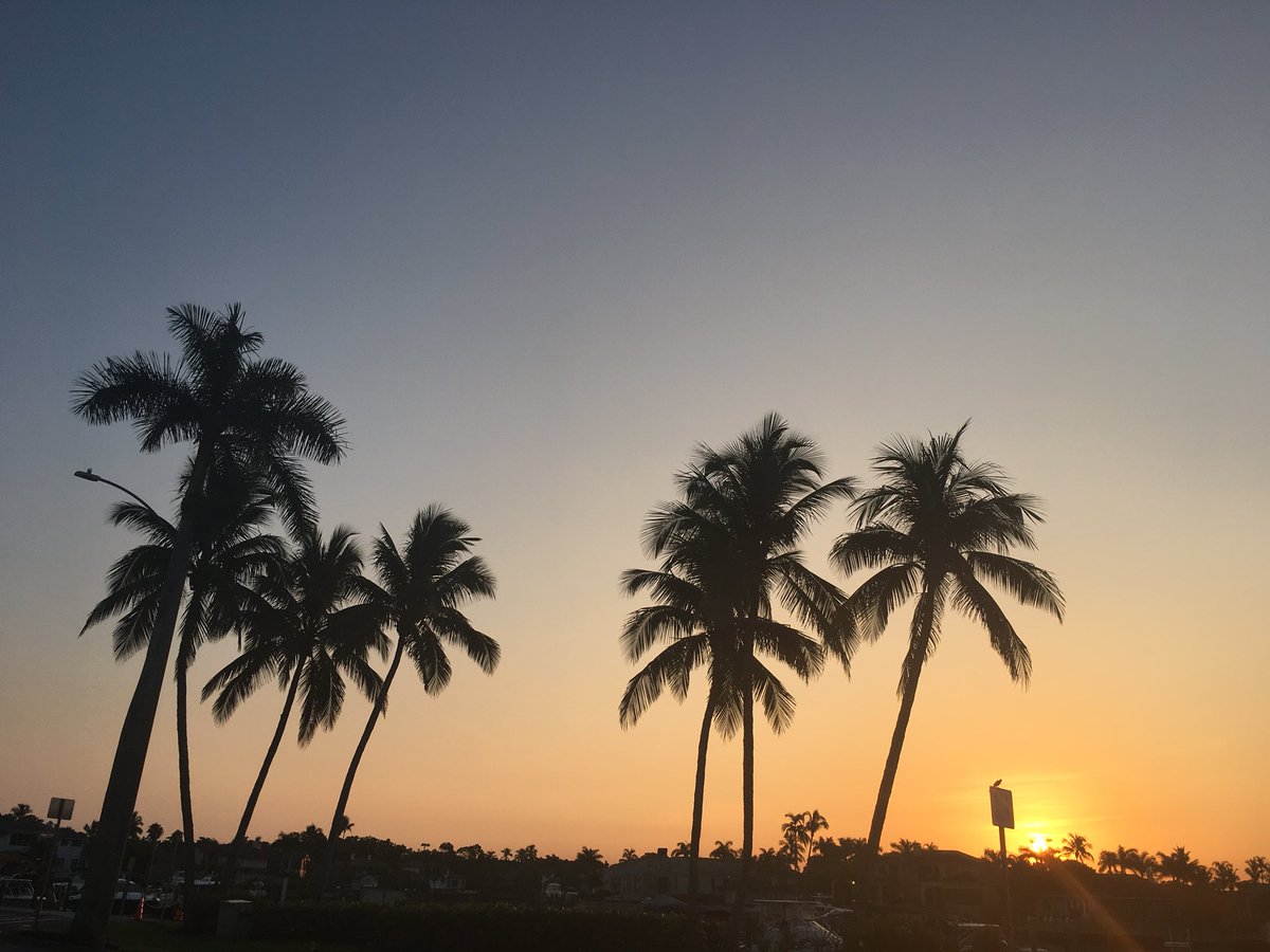 Feabhsu's tweet image. Birthday miles to start out another year! Older yes, but fitter &amp;amp; faster! @leapfrogathlete #sunriserunning #mentallytough #grouprunning #accountabilityrunning #runwithpurpose #naples #florida