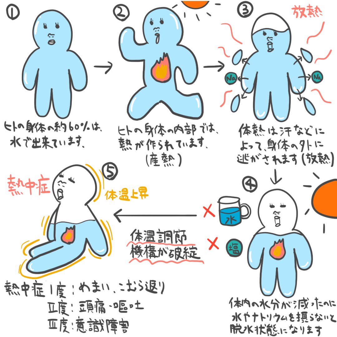 ゴロ 解剖生理イラスト Twitterren 5コマで分かる 熱中症のメカニズム まだまだ暑い日が続いておりますので お体に気をつけてお過ごし下さい T Co Gwia4j2ykh Twitter