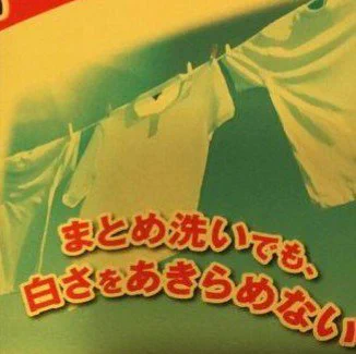 いやもうそれにしか見えなくなるｗｗ洗濯物とジンが似すぎｗｗｗ