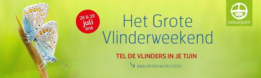 Zit je in de tuin dit weekend? Laat het dan niet na om de vlinders te tellen :) want het is het Grote Vlinderweekend!