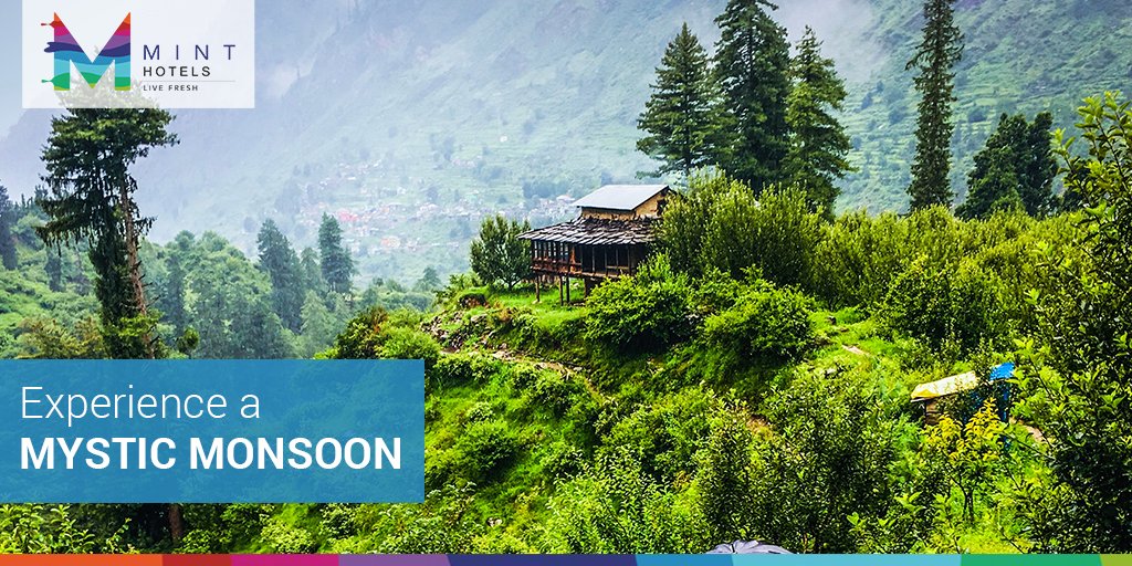 MintHotels's tweet photo. Daily life tiring you out? Plan your getaway at Mint Tarika, Chail and come back rejuvenated! #MintResorts #Chail #HimachalPradesh #LiveFresh #MonsoonGetaway https://t.co/IXn4PBmzlc