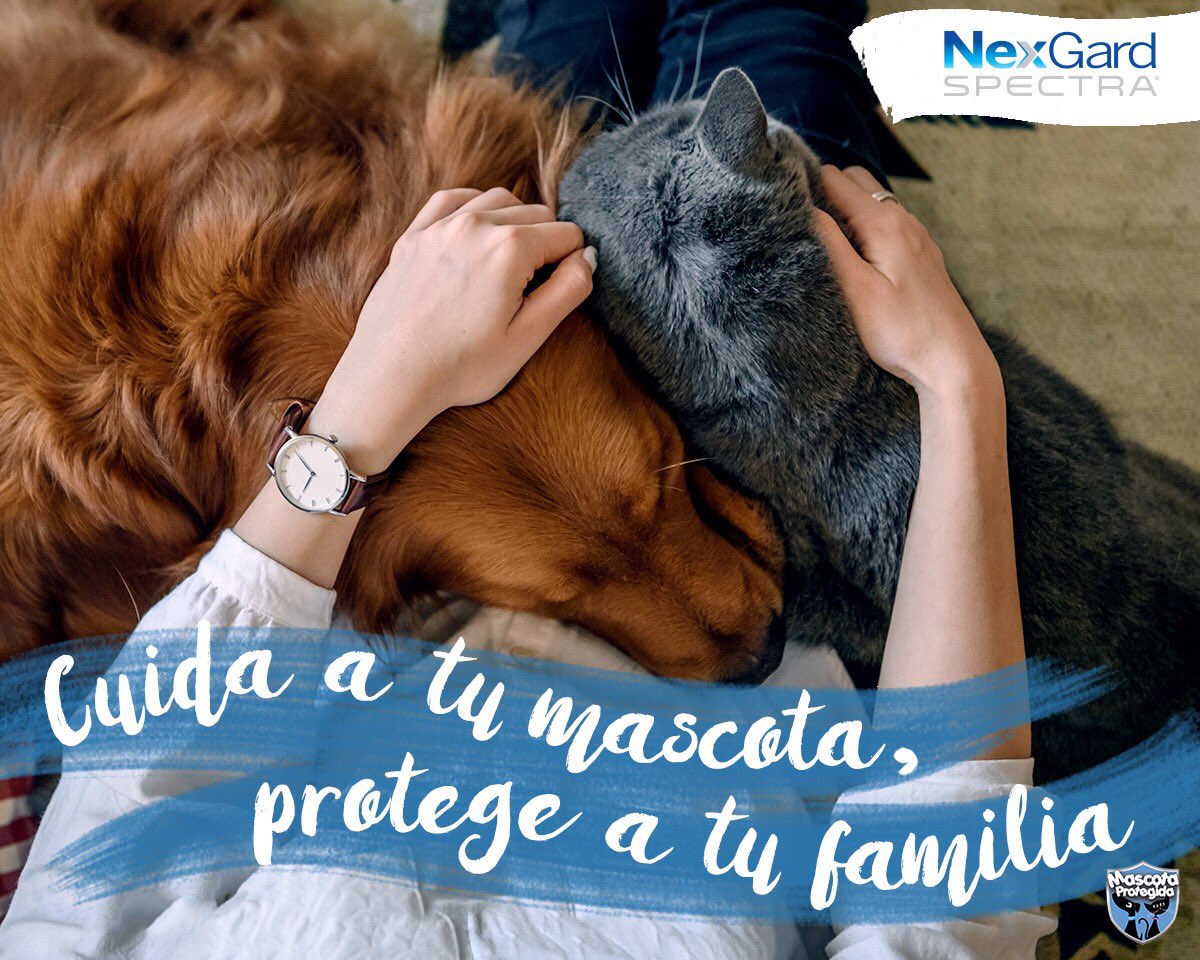 Mascota Protegida tweet media