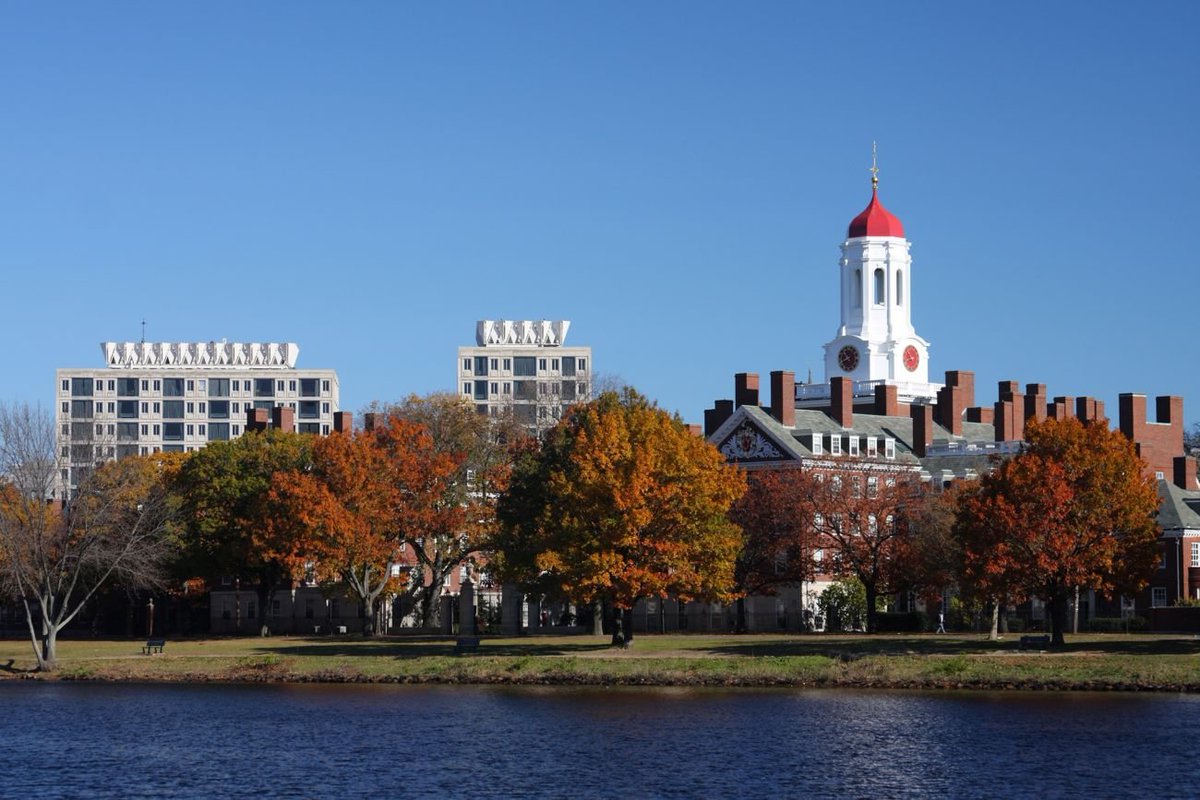 WriteMyWebsite's tweet image. Your Social Media Profile Can Make the Difference Between Being Accepted or Rejected to Harvard buff.ly/2yzWib8