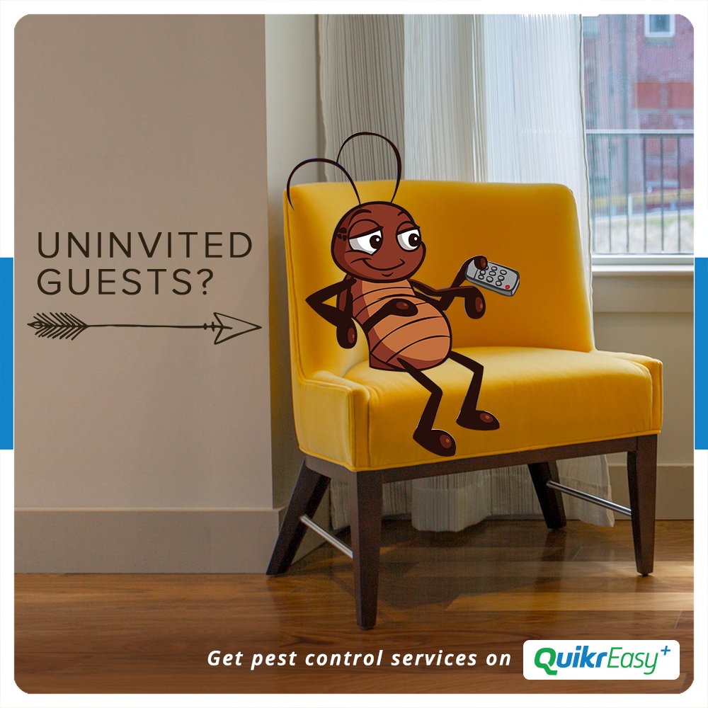 QuikrEasy's tweet photo. Are the uninvited guests being a pest? 
Get them out of your house by calling #pestcontrol services on #QuikrEasy+.
https://t.co/DNqZ9r8B3i https://t.co/umiFFmsW4D