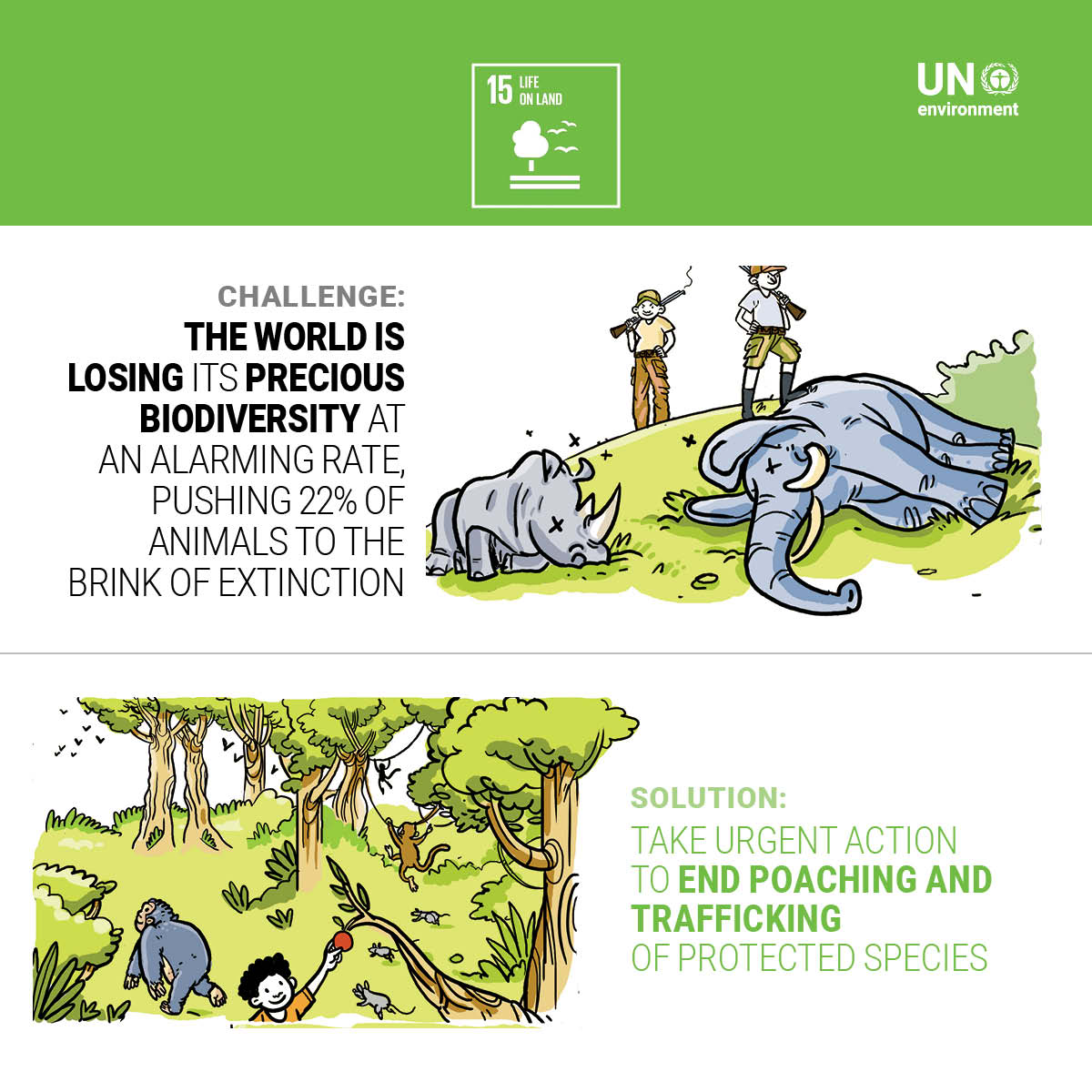 The world losing its precious biodivesity at an alarming rate. For endangered species, illegal trade is one of the many threats. The good news is you can do something about it! See how you can take action: bit.ly/2AeIhQF
#Biodiversity