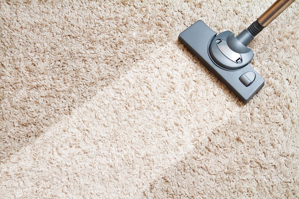 Clean Living Norfolk tweet media