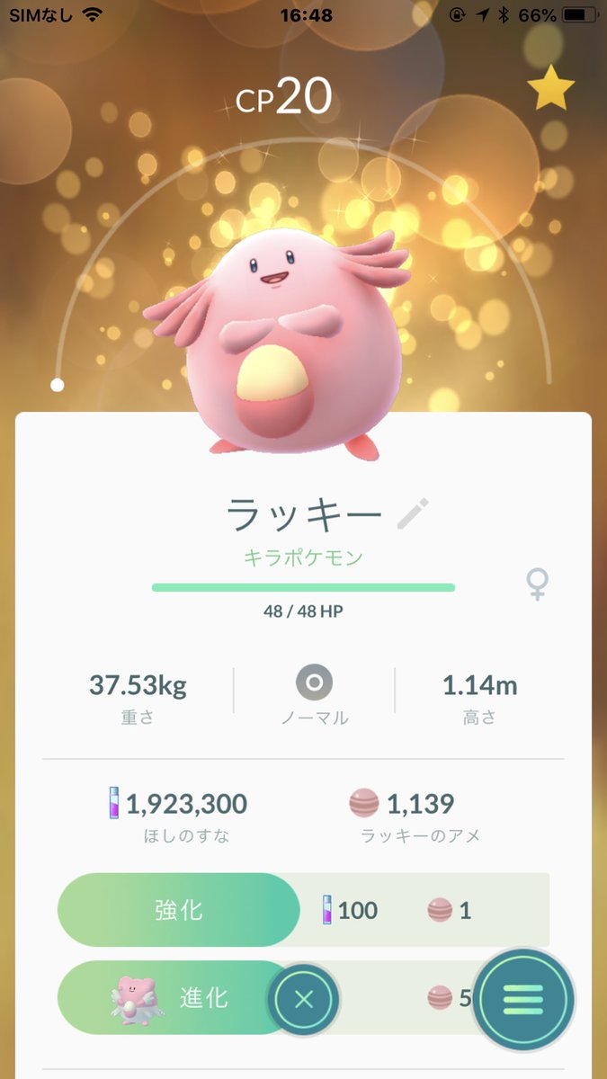 ウッキー プラチナメダル50個 キラポケモン ラッキーありがとうございました W ウッキー プラチナメダル50個 キラポケモン ラッキーありがとうございました W