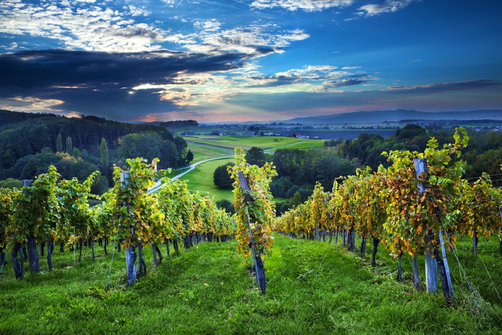 Before or after the storm. As long as you are near the vineyard cottage you are fine. #ifeelsLOVEnia #visitdolenjska