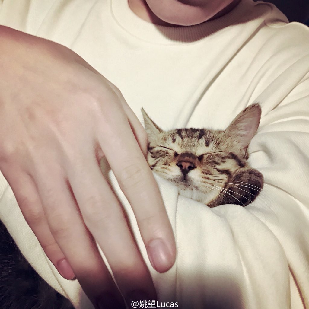 beautiful_hand1's tweet photo. 중국배우 야오왕 https://t.co/g3KyIyaxJ9