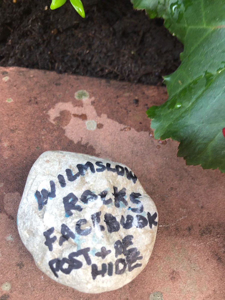Markus was watering the beautiful flowers in front of HQ this morning, and look what he found ... a @WilmslowRocks!!! 🎉🔍🌺 

#Wilmslow #WilmslowRocks