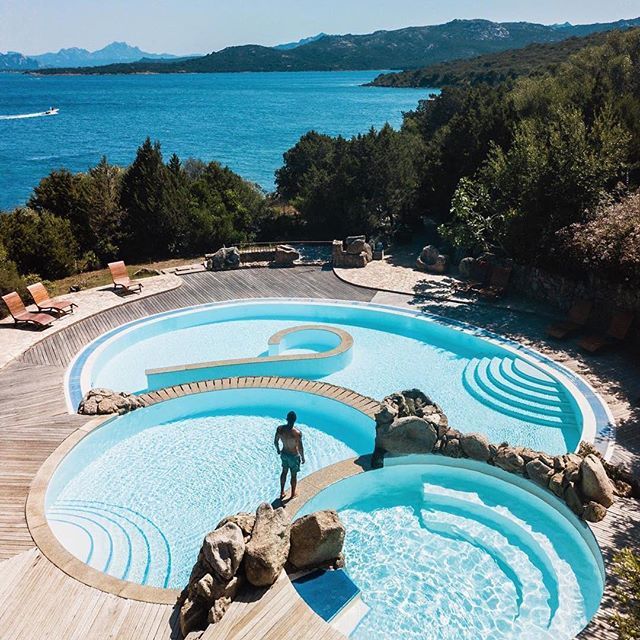 The Indulgence tweet media