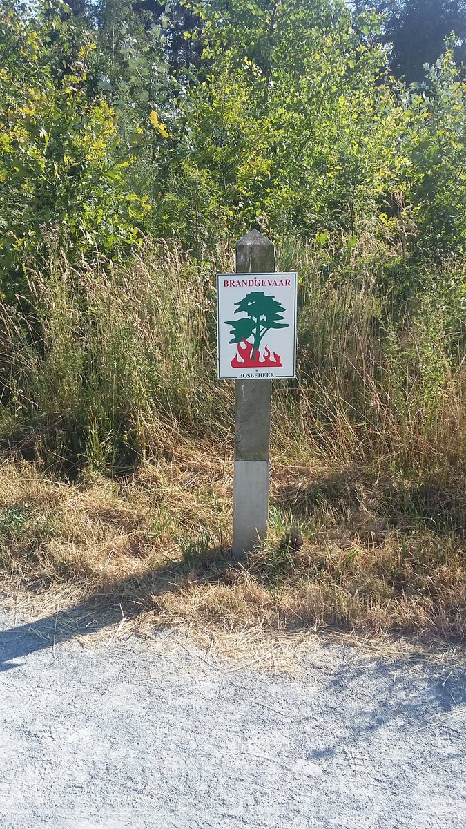 Vuur maken en roken in bossen en natuurgebieden is verboden door politiebesluit van de gouverneur.