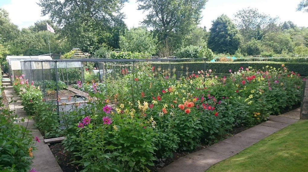 This year we're rewarding people who've a made a difference to their neighbourhood or community with lots of great prizes on offer for winners chosen from each of the 10 constituencies as well as overall citywide winners! Enter here: socsi.in/bibcom_838qY  #BrumInBloom2018!