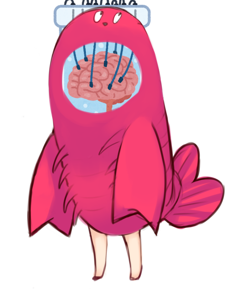 さちゃちゃん