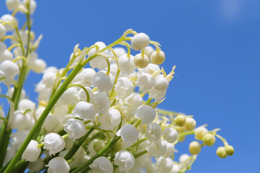 artauction21's tweet photo. Art photography of spring flowers https://t.co/m0RHWSZlQf on the Auction 21
#art #modernart #foto #flowers #photography #contemporaryart #auction #photographer #sky #digital #artnews #modern #artgallery #fineart #photos #design #style #artauction #print #artists #ArtistOnTwitter https://t.co/8cNudbOdAf