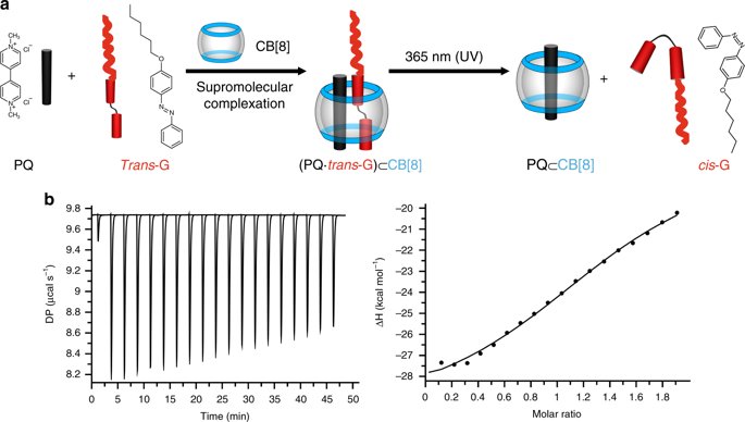 iceraywang's tweet photo. A user-friendly herbicide derived from photo-responsive supramolecular vesicles https://t.co/qvC9Oz9fEn https://t.co/lSSYF85Qtf