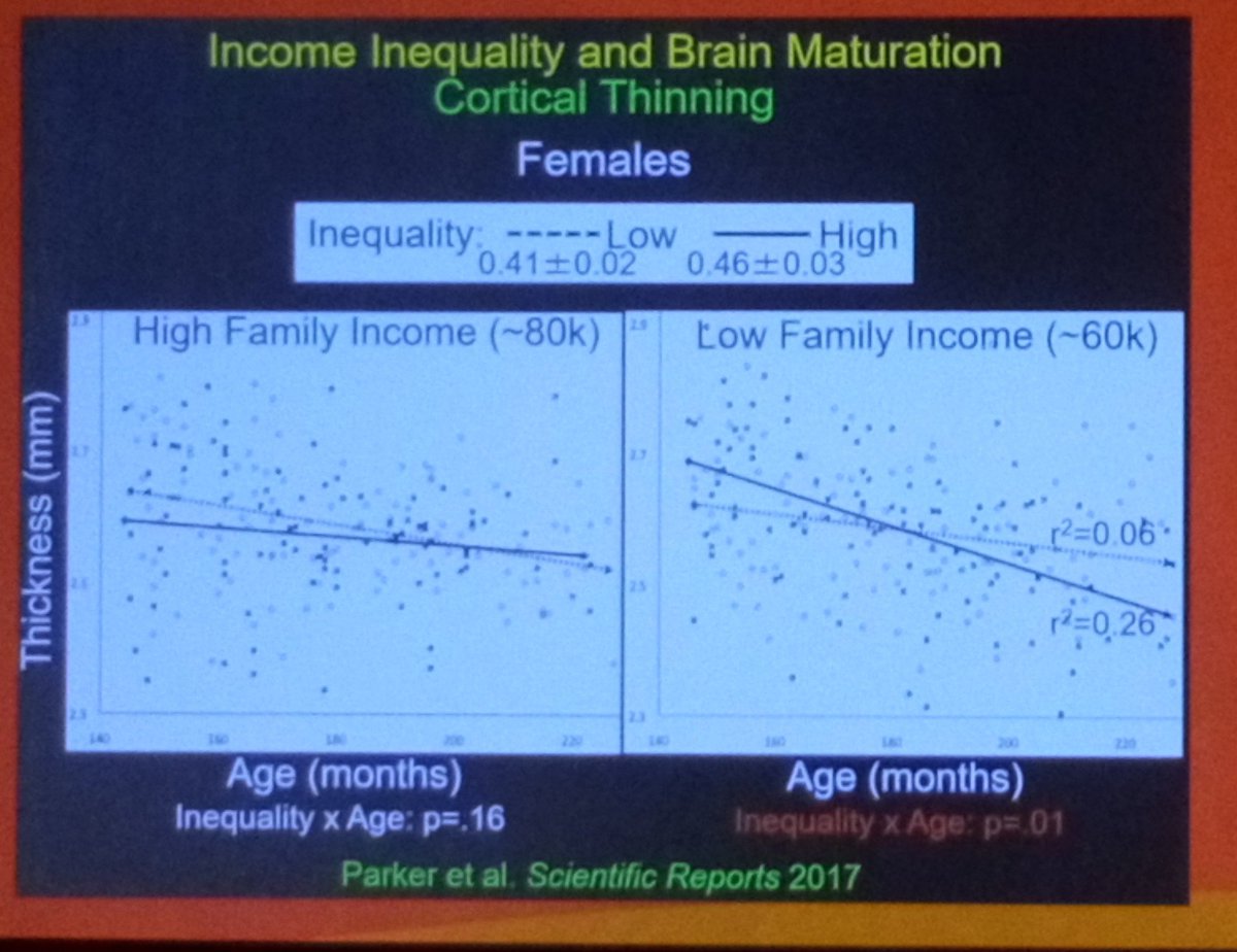 YPPsych's tweet photo. Impact of #inequality on #adolescent #braindevelopment
Cortical thinning greater in girls from low income families in high income inequality areas
#inequality is a #mentalhealth issue
#equality is best intervention
#thespiritlevel
@ProfKEPickett @ProfRGWilkinson
#IACAPAP18 https://t.co/6oKwgjqd1N