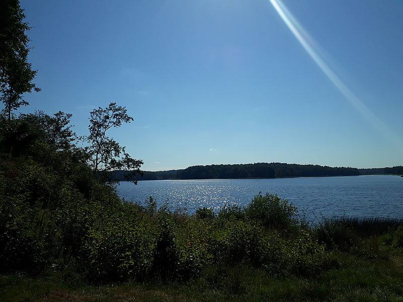 Brocēnu novada pašvaldība 31. jūlijā ielūdz uz projekta “Skatu torņa izbūve un atpūtas vietas ierīkošana Cieceres ezera krastā”, rezultāta “Cieceres ezera skatu tornis” atklāšanas pasākumu broceni.lv/novads/jaunumi…