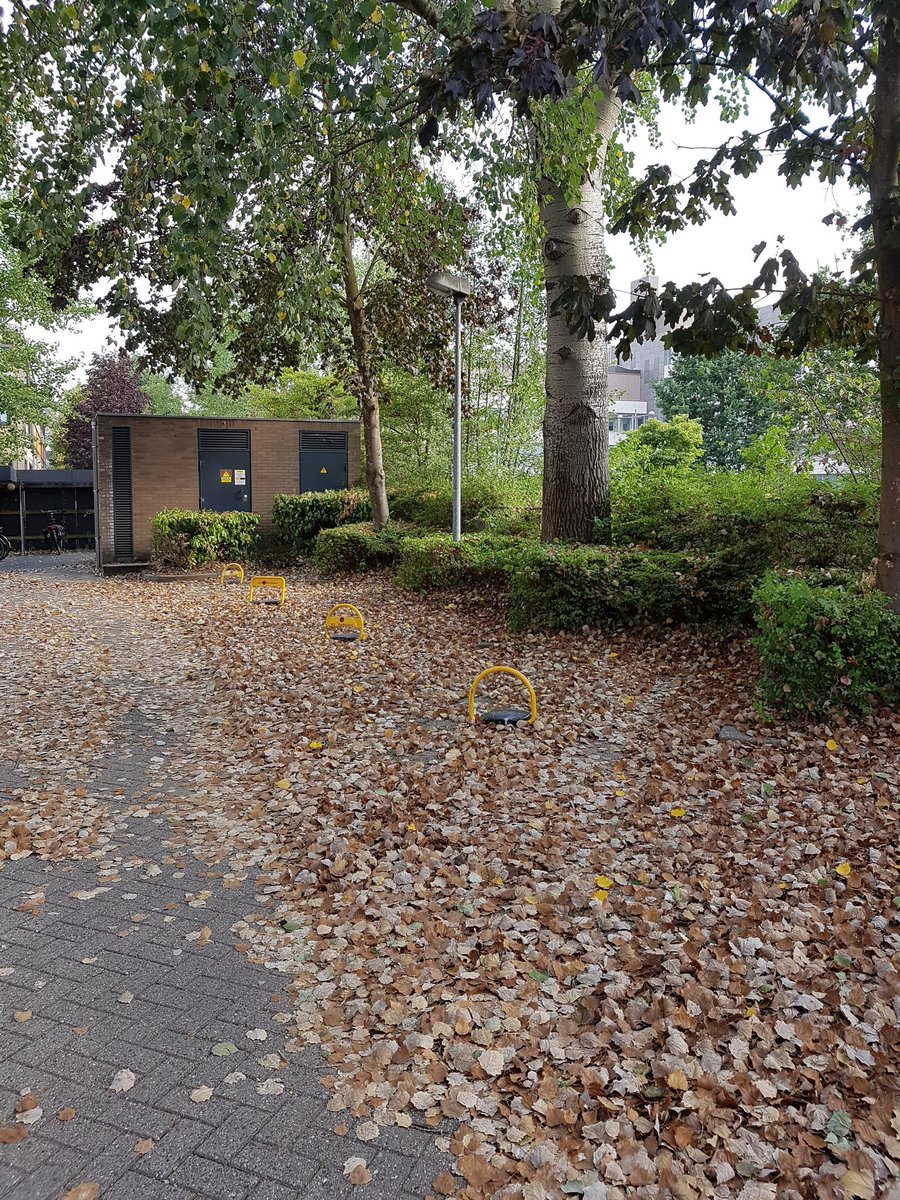 PeterBaltussen's tweet photo. #nosjournaal herfst op de parkeerplaats. Zaagmolenlaan 4 Woerden https://t.co/ciIkXuKYww