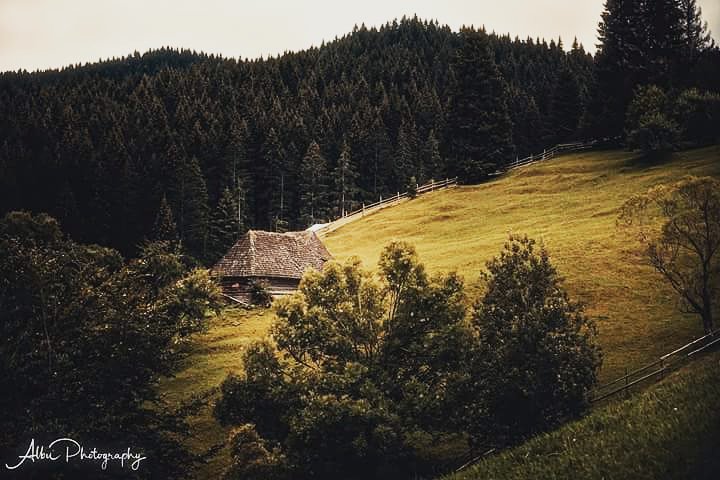 #romaniateiubesc #romaniafrumoasa #romaniapitoreasca #romaniamagica #romania #nature #love #travel #naturephotography #photooftheday #photography