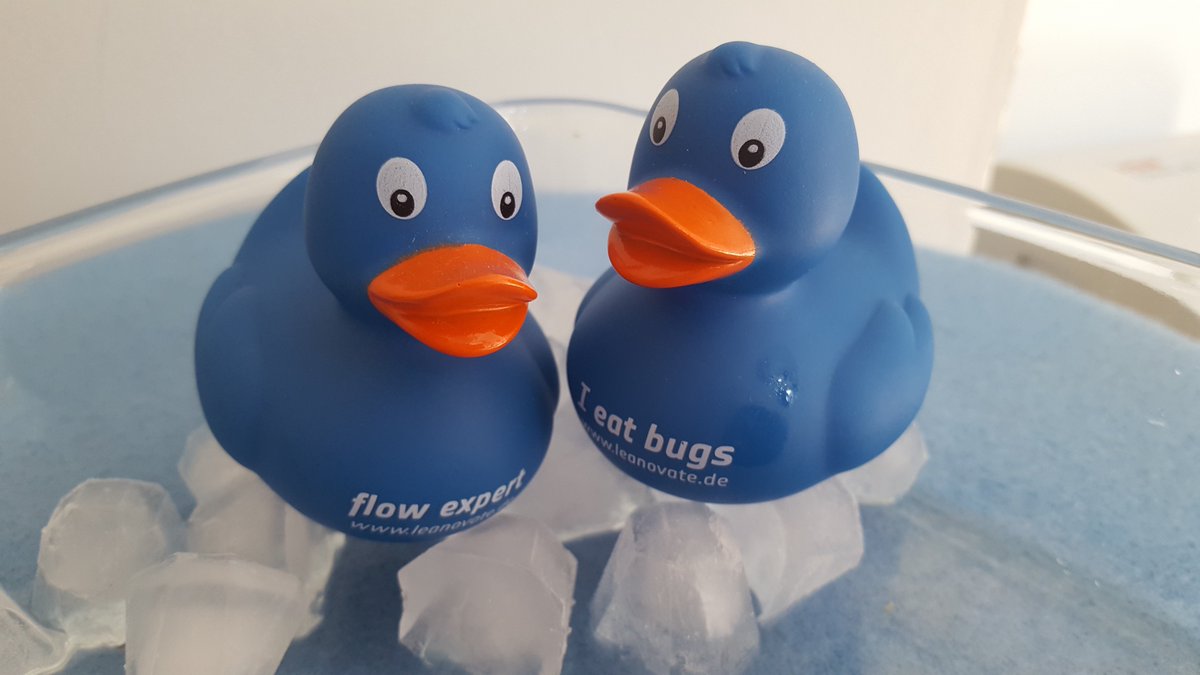 leanovateBerlin's tweet photo. Ducks on the Rocks. Obviously they found the only existing cool place! Where is that?! #Binky #Flowrence #duckvacation #Hitze #agile #kanban #summer https://t.co/v18PFIM0rk