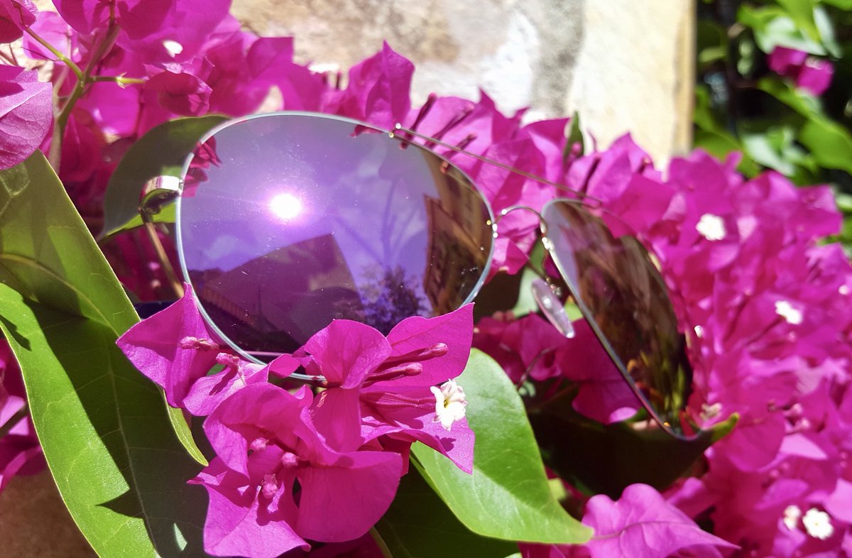 FINESTSEVEN's tweet photo. Summer is here and the flowers are booming https://t.co/JrZlAxjBQ6 #sunnies #sunglasses #luxury #eyewear https://t.co/bNwvcwyZ7Z