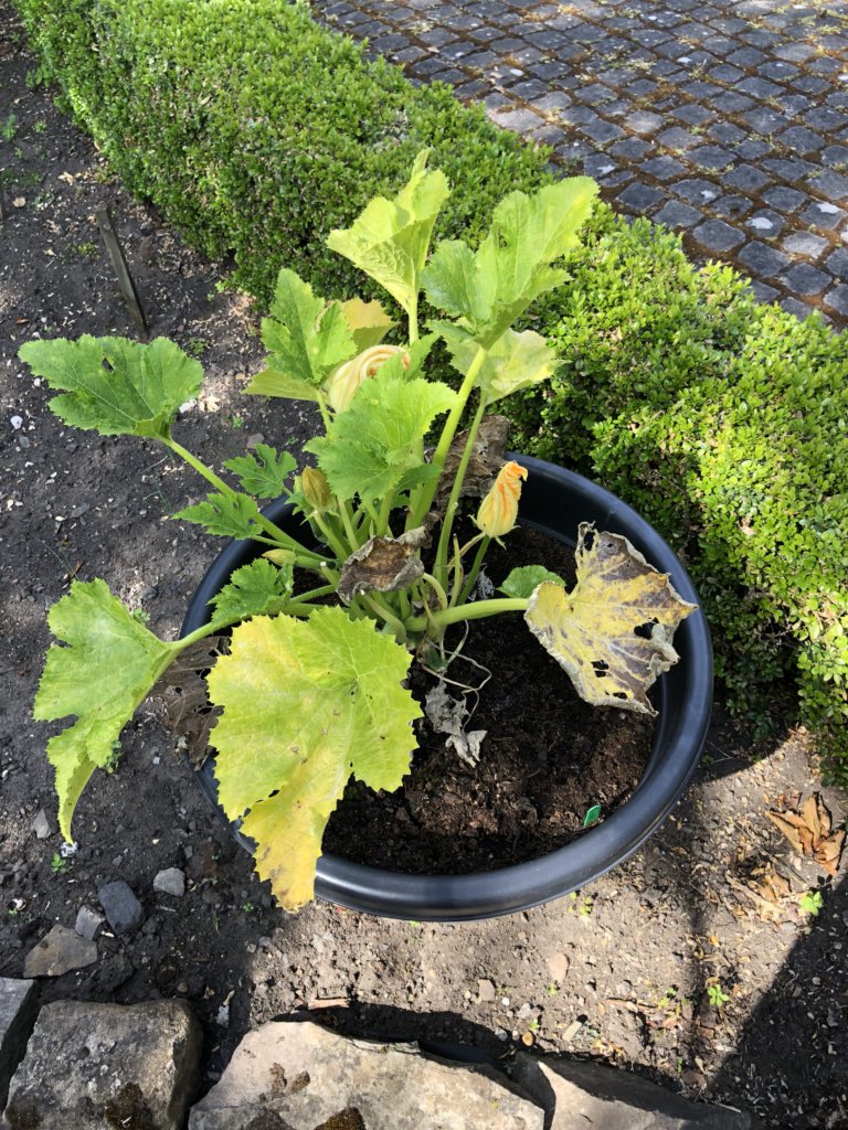 Colin Bendall tweet media