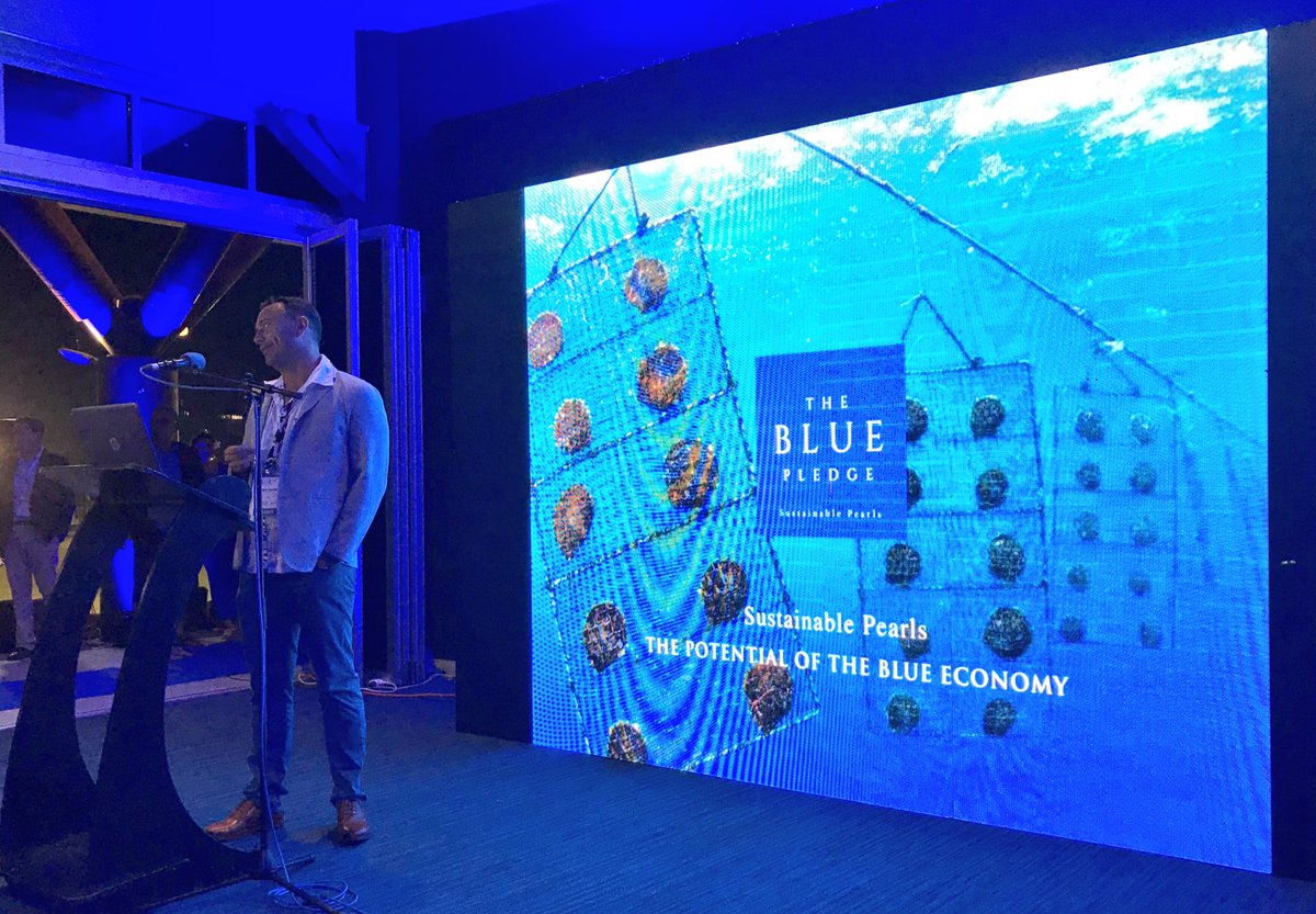 BakhodirAB's tweet photo. Soft launch of #BluePledge on the sidelines of #CAPP2018 showcases private sector’s vital contribution to healthy oceans 🌊 and sustainable #BlueEconomy ⚓️ @FijiAG @ThomsonFiji @CanadaDev @UNDP_Pacific @COP23 https://t.co/Fvy64k6be6