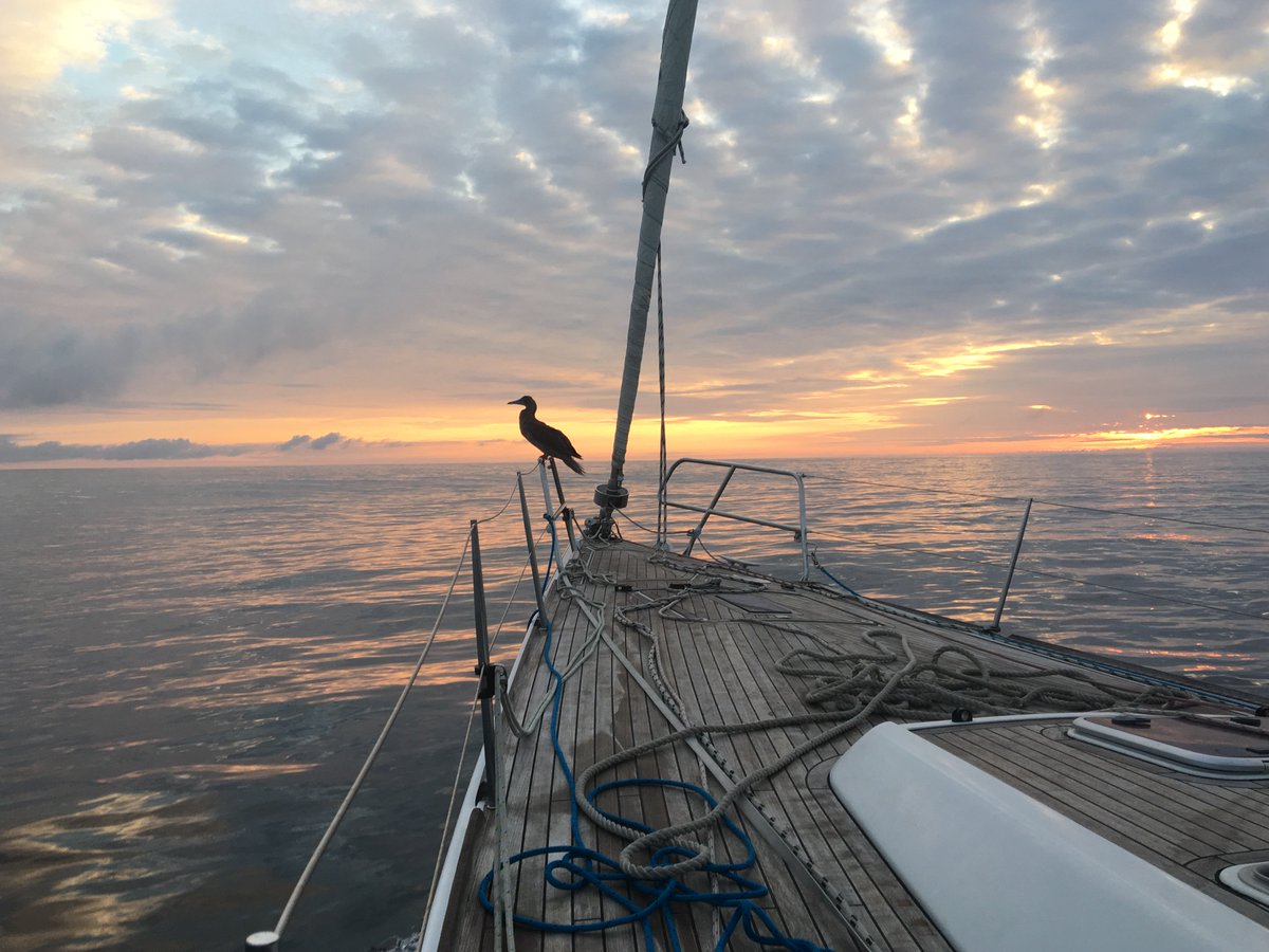 ARCrally's tweet image. Check out some of the entries in our #WorldARC photo competition. What an adventure it's been so far! Visit the Facebook page to see more &amp;amp; vote for your favourite. facebook.com/media/set/?set…