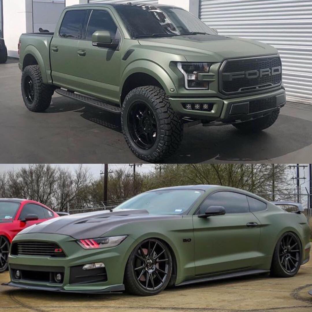 Car or Raptor?