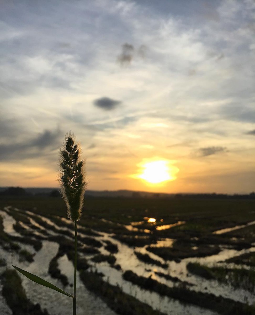 "La veritable bellesa mai no va separada de la utilitat."
Josep Pla