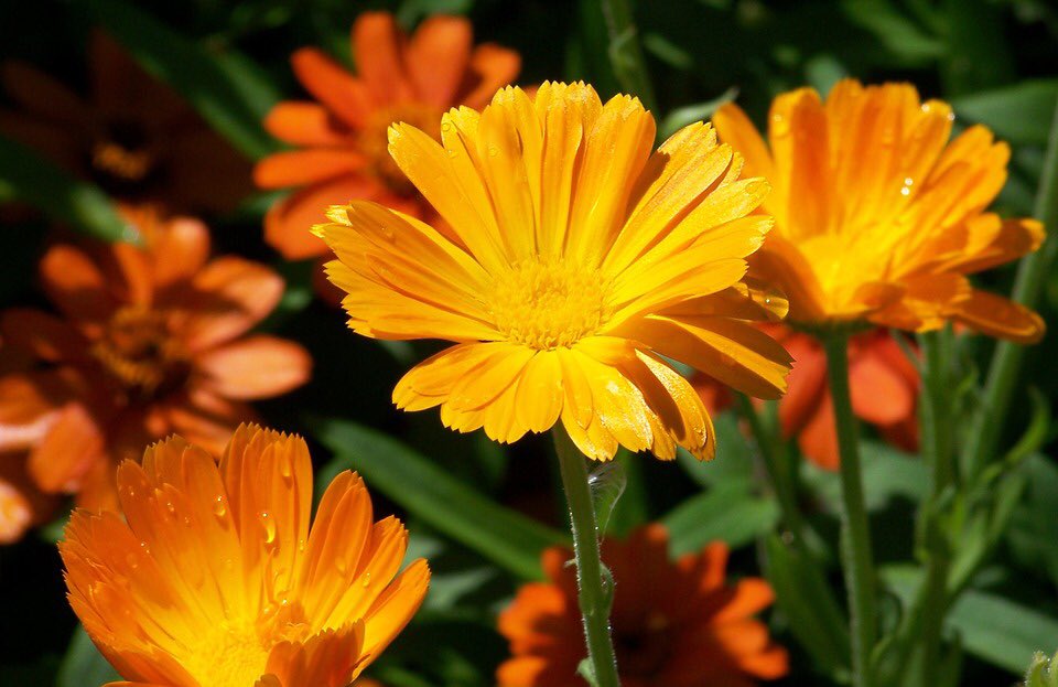 Each new day you have a choice; a choice to be a better version of yesterday. Create, smile, and enjoy your day.