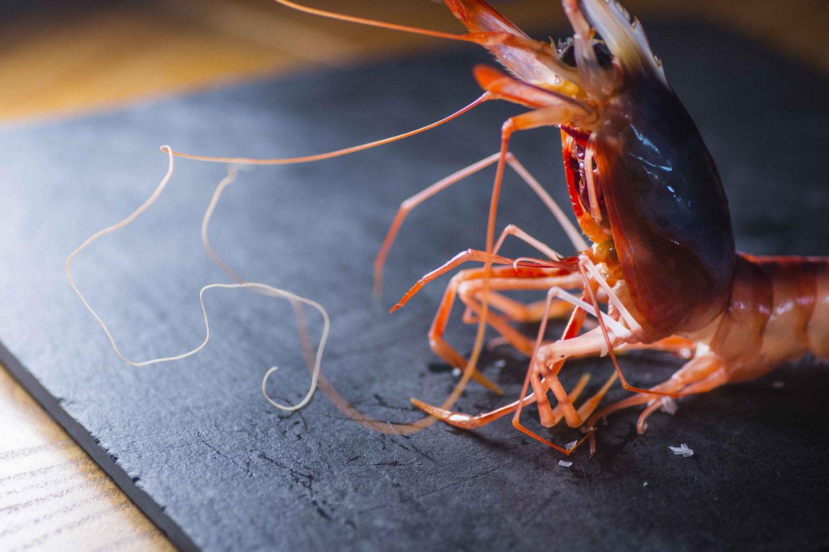 tradevo_sevilla's tweet photo. Gamba Roja…un espectáculo de pleno sabor a mar.
#tradevo #tradevosevilla #tradevocentro #tradevonervion #tradevosanbernardo #gonzalojuradochef #restaurantetradevo
📷 #HugoZapata https://t.co/Gh3ps1t1LP