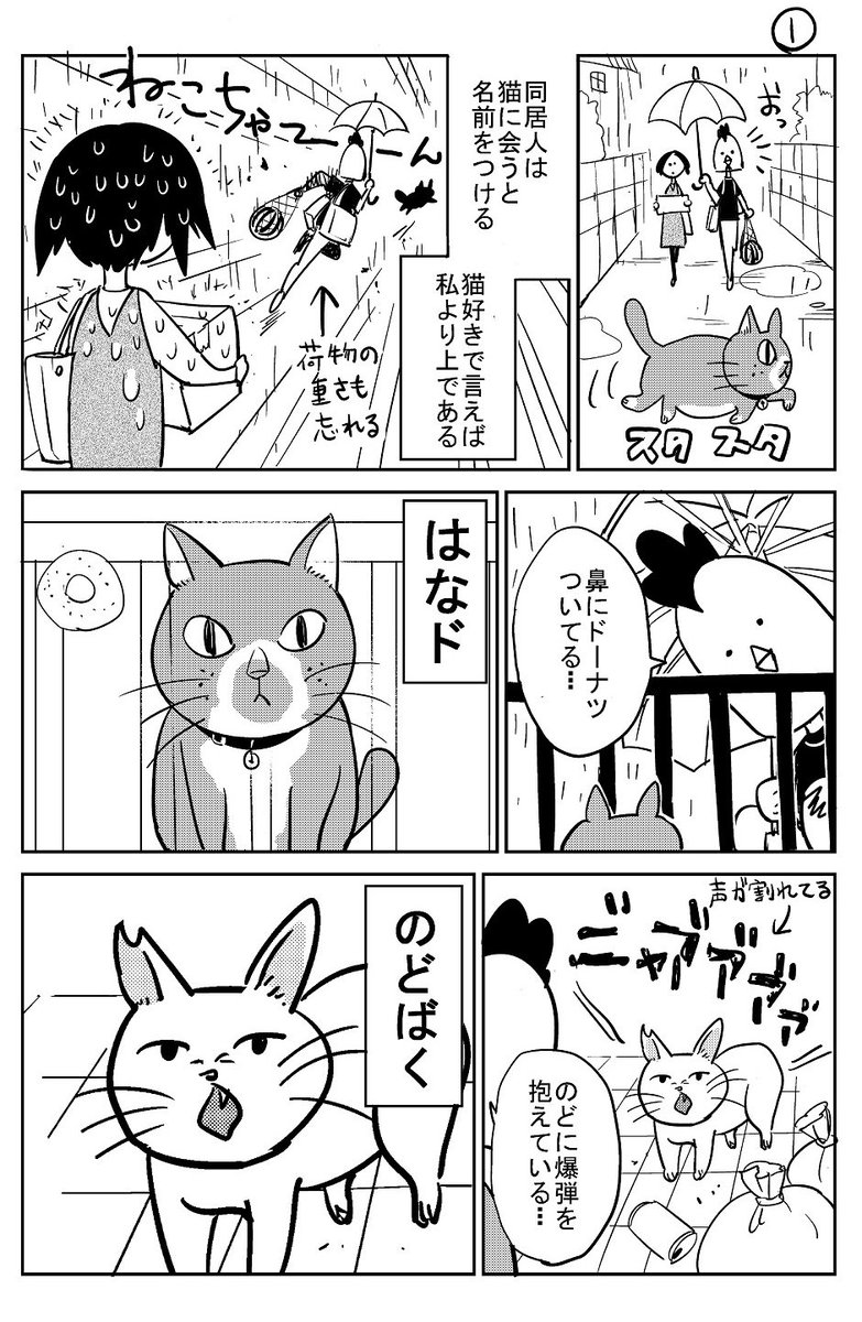 猫飼いました④ 