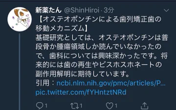 画像 / Picture