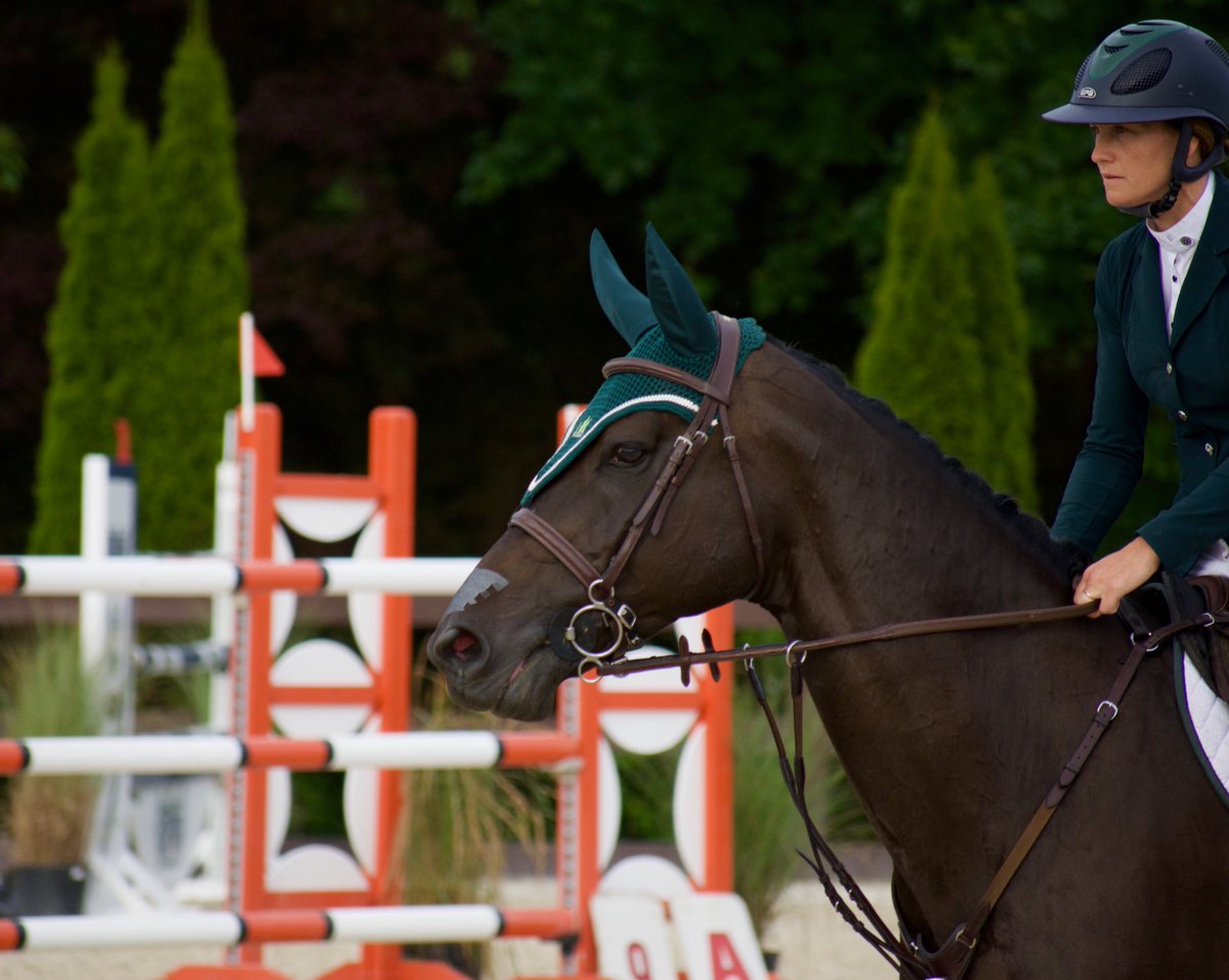 stablesecretary's tweet photo. Attention @StableSecr1 Professional plan subscribers! Reminder you can connect & transfer payments to a @QuickBooks online account. Details: https://t.co/mDtnOXSChN #stablesecretary #horse #app #software #equestrian #recordkeeping #tech #upgrade #simple #invoicing #integration https://t.co/MZeCbIoJ0p