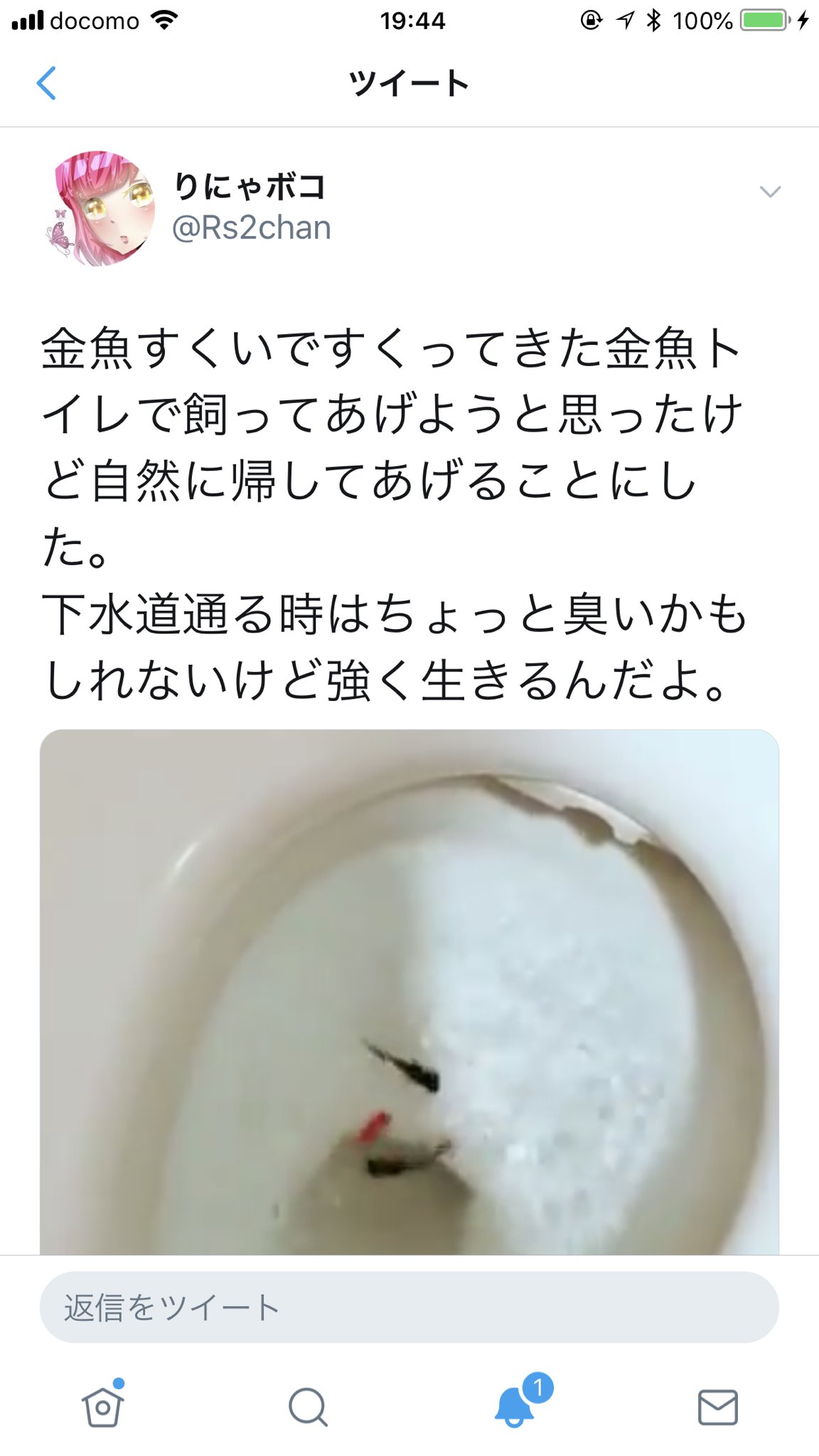 シークレット On Twitter 金魚をトイレに流してデリヘリ解雇された女 バカッター