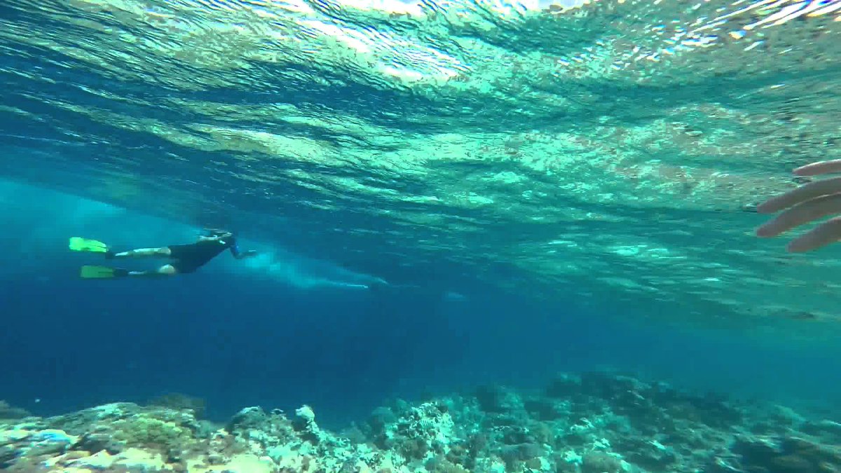 PanamweTour's tweet photo. #Zanzibar is famous for the #watersport; which offers good sites for #snorkelling in great #Seawatesports #adventures and #whitesandbeach. 
Connect with us for enjoying the snorkeling in Zanzibar are amongst the most spectacular in the world.
https://t.co/12IzkLMhL5 https://t.co/DIfx2eZSuY
