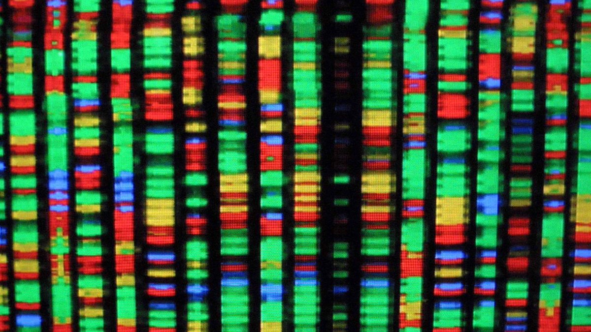 TheOnion's tweet image. Kinky Recessive Gene Loves Being Dominated trib.al/LNcDqaP