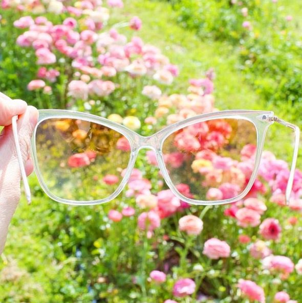 AshleySoftware's tweet photo. A vocabulary garden blooming with words makes for beautiful published content + even faster writing  experiences with Writer's Blocks.

#vocabulary #words #publishedworks #beautiful #content #garden #flourishvocabulary #adjectives #fridaythoughts https://t.co/REOWNWze1F