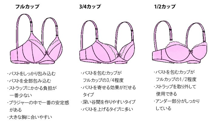 のげし 3 4カップが割と一般的なタイプなので 困った人はそれがオススメ Dは心配ならフルカップ E以降はフルカップ 慈悲はない A Cでさら 半球 お椀型の乳はハーフの1 2カップでも綺麗に収まると思うよ ホールド感はあんまないので揺れが気に のげし 3 4カップが割と一般的なタイプなので 困った人はそれがオススメ Dは心配ならフルカップ E以降はフルカップ 慈悲はない A Cでさら 半球 お椀型の乳はハーフの1 2カップでも綺麗に収まると思うよ ホールド感はあんまないので揺れが気に