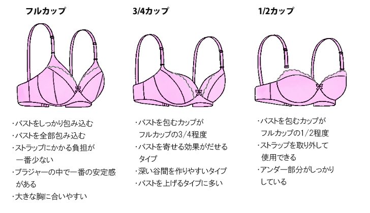 のげしinパルデア地方 3 4カップが割と一般的なタイプなので 困った人はそれがオススメ Dは心配ならフルカップ E以降はフルカップ 慈悲はない A Cでさら 半球 お椀型の乳はハーフの1 2カップでも綺麗に収まると思うよ ホールド感はあんまないので