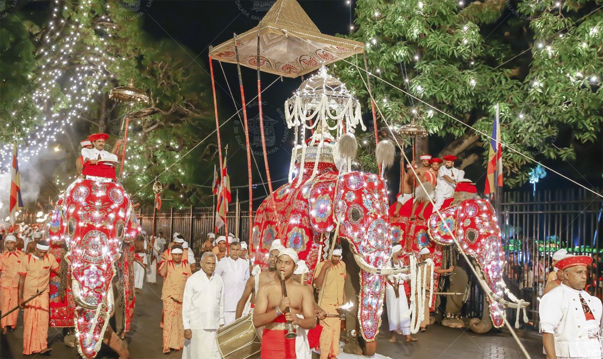 шри-ланка, канди эсала перахера. фестиваль наллур на шри ланке. канди-перахера. шри ланка праздники в декабре. рождество на шри ланке.