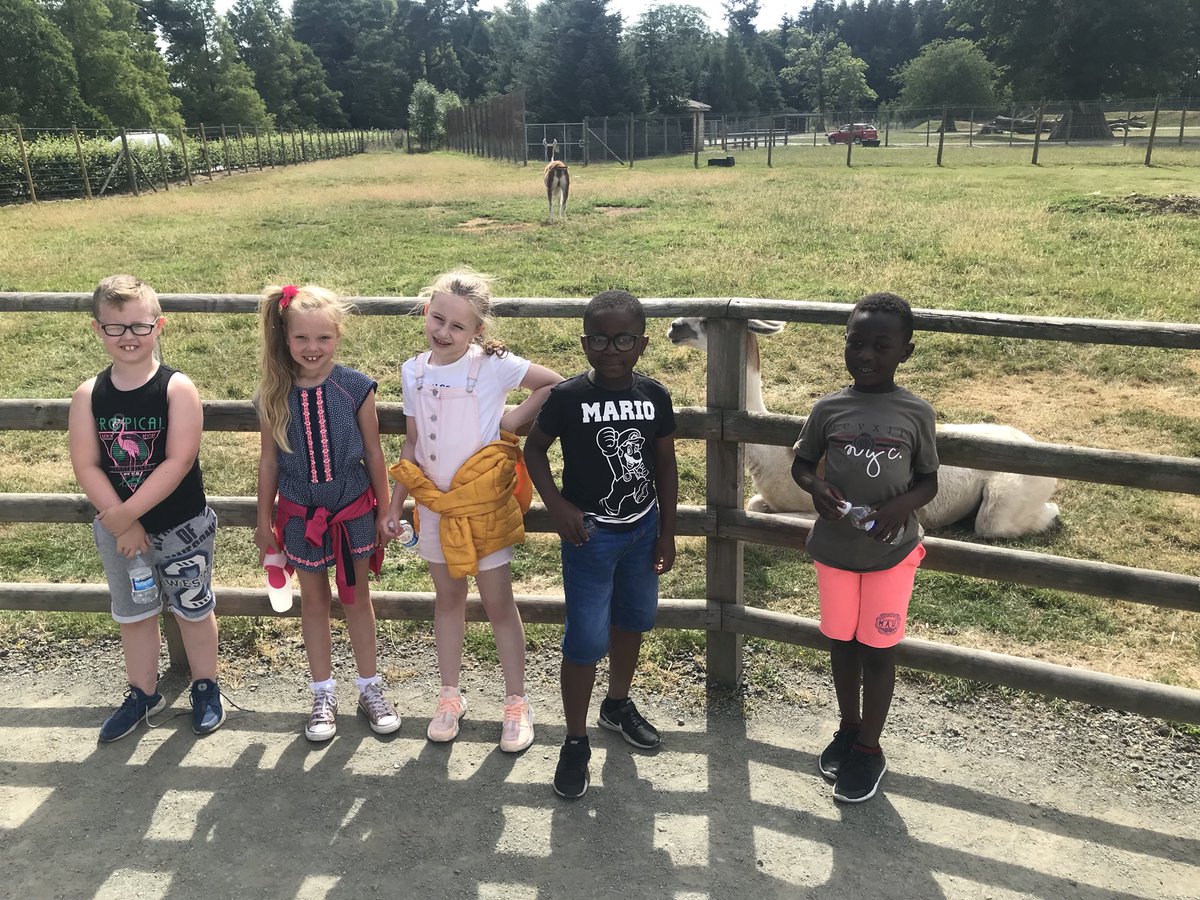 “Best last day EVER” as team Crownpoint finished our summer camp in style with a trip to Blairdrummond safari park. Many participants first time being their and seeing different kinds of animals🦁🐯🐷🐵🐧#PEEKPlay #PEEKCreate #PEEKThrive