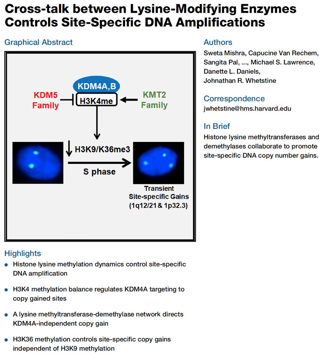 Transient gains in
Site-specific DNA
Through histone methyl

#ChromatinHaiku
cell.com/cell/fulltext/…