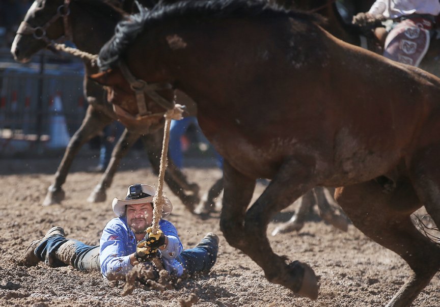 #PHOTOS bit.ly/2uW8H4J sixth performance of <a href="/CheFrontierDays/">Cheyenne Frontier Days</a> #rodeo #wildhorserace #wyosports