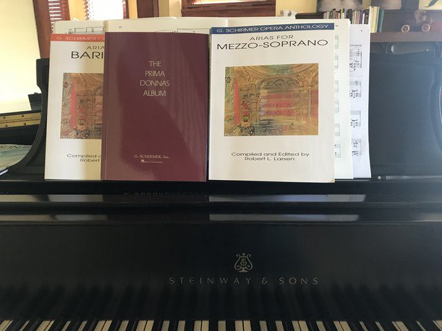 karahuberpiano's tweet photo. Signs that singer audition/recording season is coming up (am I right, singers?!) #friyay #operacoach #fridayfeeling https://t.co/k1G3c2zHR4