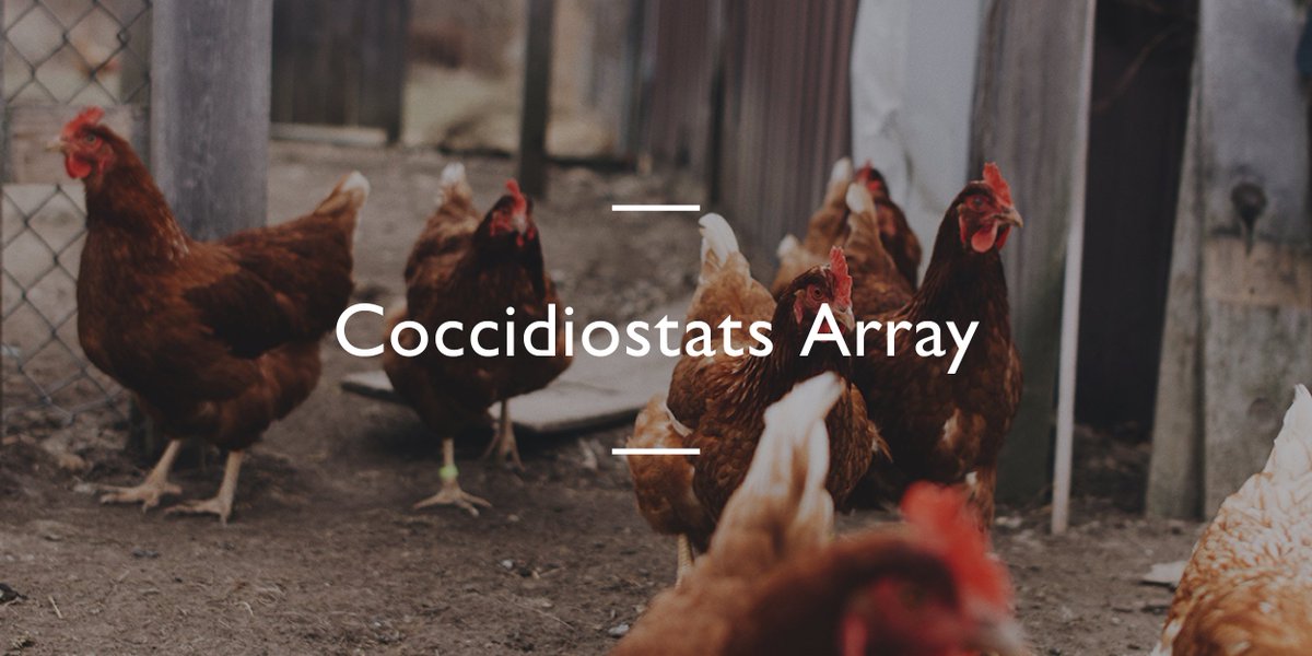RandoxFood's tweet image. Looking for the most comprehensive test menu for Coccidiostat residues? Learn more about the multi-analyte Biochip array method: randoxfood.com/meat-and-seafo…

#meattesting #meatanalysis #meatscreening #drugresidues #foodsafety #safefood #coccidiostats